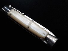 10" Asian swinguard 10" Asian swinguard