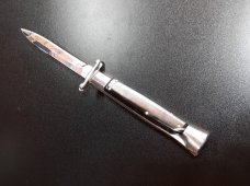 10" Asian swinguard 10" Asian swinguard