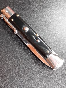10" Asian swinguard 10" Asian swinguard