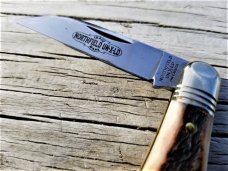 GREAT EASTERN CUTLERY NORTHFIELD #06 PEMBERTON - 1 BLADE - SAMBAR STAG