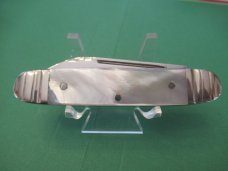Schatt & Morgan Equal End Pearl Cattle with Punch Schatt & Morgan Equal End Pearl Cattle with Punch