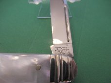 Schatt & Morgan Equal End Pearl Cattle with Punch Schatt & Morgan Equal End Pearl Cattle with Punch