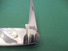 Schatt & Morgan Equal End Pearl Cattle with Punch Schatt & Morgan Equal End Pearl Cattle with Punch