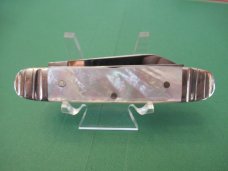 Schatt & Morgan Equal End Pearl Cattle with Punch Schatt & Morgan Equal End Pearl Cattle with Punch