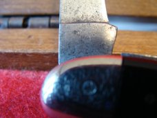 Case Serpentine Jack (#22087) NO pattern number on tang. Case Serpentine Jack (#22087) NO pattern number on tang.