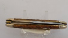 Shrade Walden Peach Seed Bone Whittler knife 804 (1950"s) Shrade Walden Peach Seed Bone Whittler knife 804 (1950"s)
