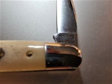 Great Eastern Tidioute #62 Smooth White Pocket Carver Whittler Knife 620320 Great Eastern Tidioute #62 Smooth White Pocket Carver Whittler Knife 620320