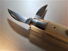 Great Eastern Tidioute #62 Smooth White Pocket Carver Whittler Knife 620320 Great Eastern Tidioute #62 Smooth White Pocket Carver Whittler Knife 620320