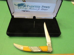 Case  Tiny Tooth Pick By Painted Pony 