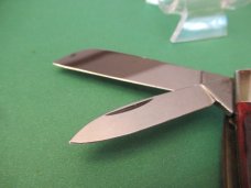 United Boker Red Bone Congress 