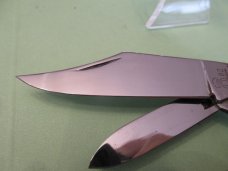 Queen 1982 Pearl Gunstock Queen 1982 Pearl Gunstock