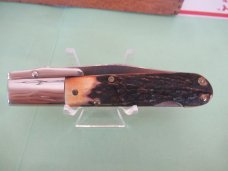 Schatt & Morgan Stag Cheetah Schatt & Morgan Stag Cheetah