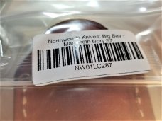 BEAUTIFUL EXOTIC NORTHWOODS BIG BAY NEW IN EXOTIC MAMMOTH IVORY BEAUTIFUL EXOTIC NORTHWOODS BIG BAY NEW IN EXOTIC MAMMOTH IVORY