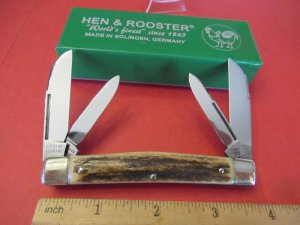 Hen & Rooster Gutman Stag Congress 