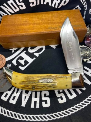 USA era transition bulldog, near mint with wood display box