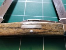 Bulldog Brand Congress Knife Giraffe Bone PROTOTYPE Bar Shield Awesome Bulldog Brand Congress Knife Giraffe Bone PROTOTYPE Bar Shield Awesome
