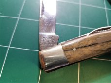 Bulldog Brand Congress Knife Giraffe Bone PROTOTYPE Bar Shield Awesome Bulldog Brand Congress Knife Giraffe Bone PROTOTYPE Bar Shield Awesome