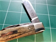 Bulldog Brand Congress Knife Giraffe Bone PROTOTYPE Bar Shield Awesome Bulldog Brand Congress Knife Giraffe Bone PROTOTYPE Bar Shield Awesome