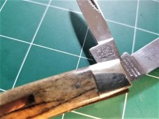 Bulldog Brand Congress Knife Giraffe Bone PROTOTYPE Bar Shield Awesome Bulldog Brand Congress Knife Giraffe Bone PROTOTYPE Bar Shield Awesome