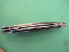 Case 1980 NKCA Founders Museum Sunfish or Elephant Toe Case 1980 NKCA Founders Museum Sunfish or Elephant Toe