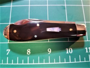 SCHATT MORGAN TEAR DROP JACK BUFFALO HORN 142206 1 OF 100 MOP