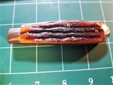SCHATT MORGAN TEAR DROP AMBER CARVED STAG 042206 1 OF 100 EO