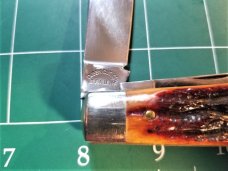SCHATT MORGAN TEAR DROP AMBER CARVED STAG 042206 1 OF 100 EO