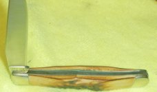 NKCA Club Knife Single Blade 1979 Stag Trapper NKCA Club Knife Single Blade 1979 Stag Trapper