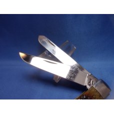 Case XX 6254 SS Jigged Bone Trapper 50 Cent Tang Stamp Collection