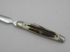 Queen Cutlery Letter Opener with Winterbottom Bone handles Queen Cutlery Letter Opener with Winterbottom Bone handles