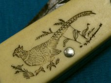 VINTAGE SCHRADE SCRIMSHAW PHEASANT USA SC506 BARLOW BAREHEAD FOLDING POCKET PEN KNIFE KNIVES OLD VINTAGE SCHRADE SCRIMSHAW PHEASANT USA SC506 BARLOW BAREHEAD FOLDING POCKET PEN KNIFE KNIVES OLD