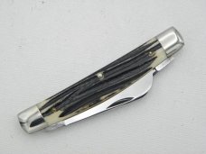 Queen Cutlery Co. #31 Half Congress in Winterbottom Bone: 4” closed; circa 1960, Q STEEL tang stamp