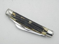 Queen Cutlery Co. #31 Half Congress in Winterbottom Bone: 4” closed; circa 1960, Q STEEL tang stamp