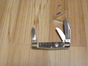 German Eye Stag Medium Stockman