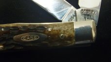 Case Trapper Case Trapper