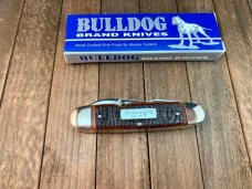 Bulldog Scout Knife Amber Rope Jigged Bone 2007 Beautiful! Bulldog Scout Knife Amber Rope Jigged Bone 2007 Beautiful!
