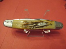 Case XX 2003 CCC Bone Stag Muskrat Case XX 2003 CCC Bone Stag Muskrat