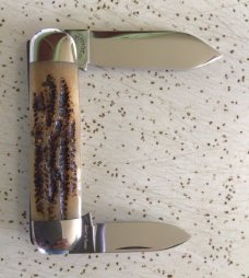 VINTAGE BONE SCHATT & MORGAN 2001 BABY SUNFISH POCKET KNIFE / “BEAUTIFUL PIECE “/ 1 of 600 VINTAGE BONE SCHATT & MORGAN 2001 BABY SUNFISH POCKET KNIFE / “BEAUTIFUL PIECE “/ 1 of 600