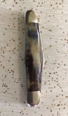 VINTAGE CASE XX 1981 A6208 “APPALOOSA “ HALF WHITTLER POCKET KNIFE VINTAGE CASE XX 1981 A6208 “APPALOOSA “ HALF WHITTLER POCKET KNIFE