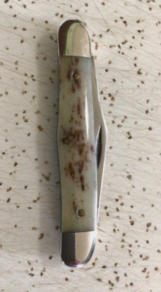 VINTAGE CASE XX 1981 A6208 “APPALOOSA “ HALF WHITTLER POCKET KNIFE VINTAGE CASE XX 1981 A6208 “APPALOOSA “ HALF WHITTLER POCKET KNIFE
