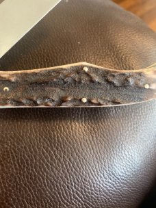1983 Bulldog Brand Solingen Germany Super Fat & Super Gmarly Stag Hamdles Folding Hunter War Hawk 1983 Bulldog Brand Solingen Germany Super Fat & Super Gmarly Stag Hamdles Folding Hunter War Hawk