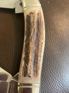 1984 Bulldog Brand Super Fat & Gnarly Stag Handles Sowbelly With 5 Blades And Fluted Bolsters 1984 Bulldog Brand Super Fat & Gnarly Stag Handles Sowbelly With 5 Blades And Fluted Bolsters