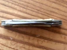 Adler MFTR Small Congess Whittler Stag Handle Knife Adler MFTR Small Congess Whittler Stag Handle Knife