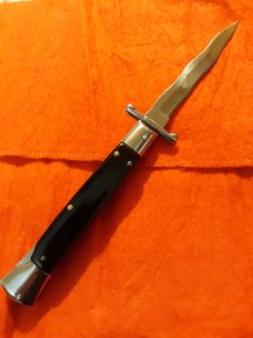 10" Asian swinguard 10" Asian swinguard
