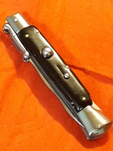 10" Asian swinguard 10" Asian swinguard