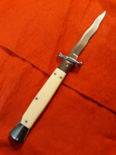10" Asian swinguard 10" Asian swinguard