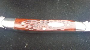 Case 8 Dot Muskrat