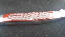 Case 8 Dot Muskrat Case 8 Dot Muskrat