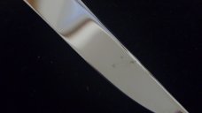 Case 8 Dot Muskrat Case 8 Dot Muskrat
