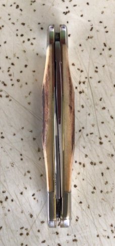 VINTAGE STAG CASE XX 5208 1980 75th ANNIVERSARY HALF WHITTLER POCKET KNIFE/ BEAUTIFUL PIECE VINTAGE STAG CASE XX 5208 1980 75th ANNIVERSARY HALF WHITTLER POCKET KNIFE/ BEAUTIFUL PIECE
